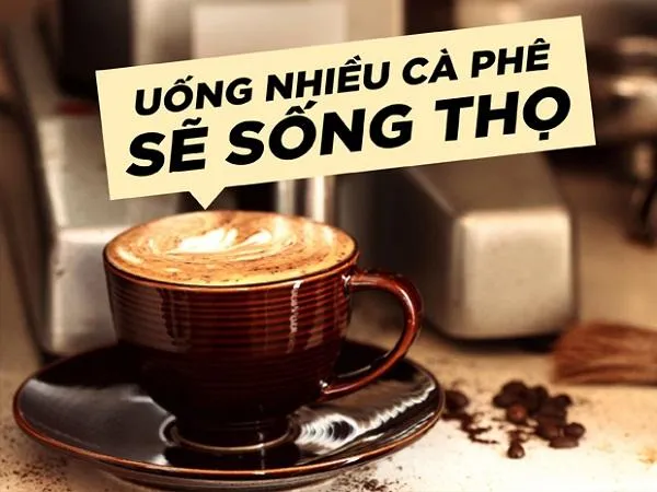 Bật mí những lợi ích tuyệt vời của việc uống [cà phê đen] thường ...