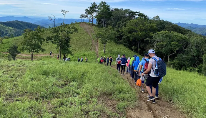 Khám Phá TOP 3 Cung Đường Trekking Đà Lạt Đẹp Mê