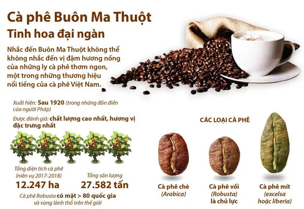 Top 15+ Đặc sản Buôn Mê Thuột Đắk Lắk làm quà & ăn ở địa phương