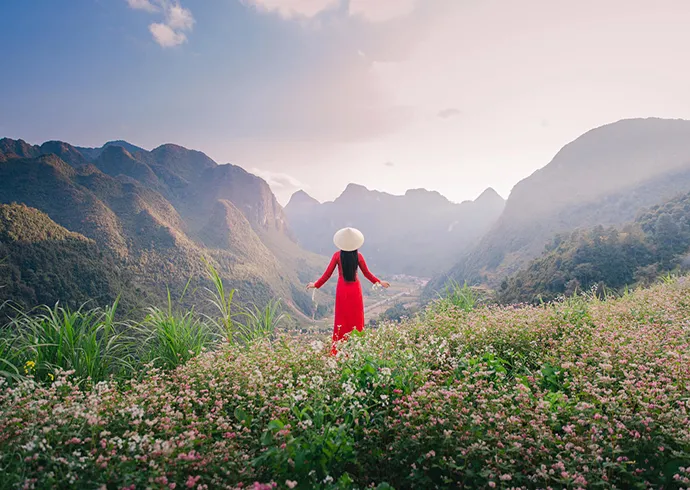 discovering-ha-giang-during-buckwheat-flower-season-detailed-itinerary-cloud-hunting-experience