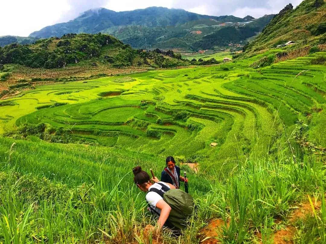 sapa-trekking-conquering-rice-terraces-tribal-encounters