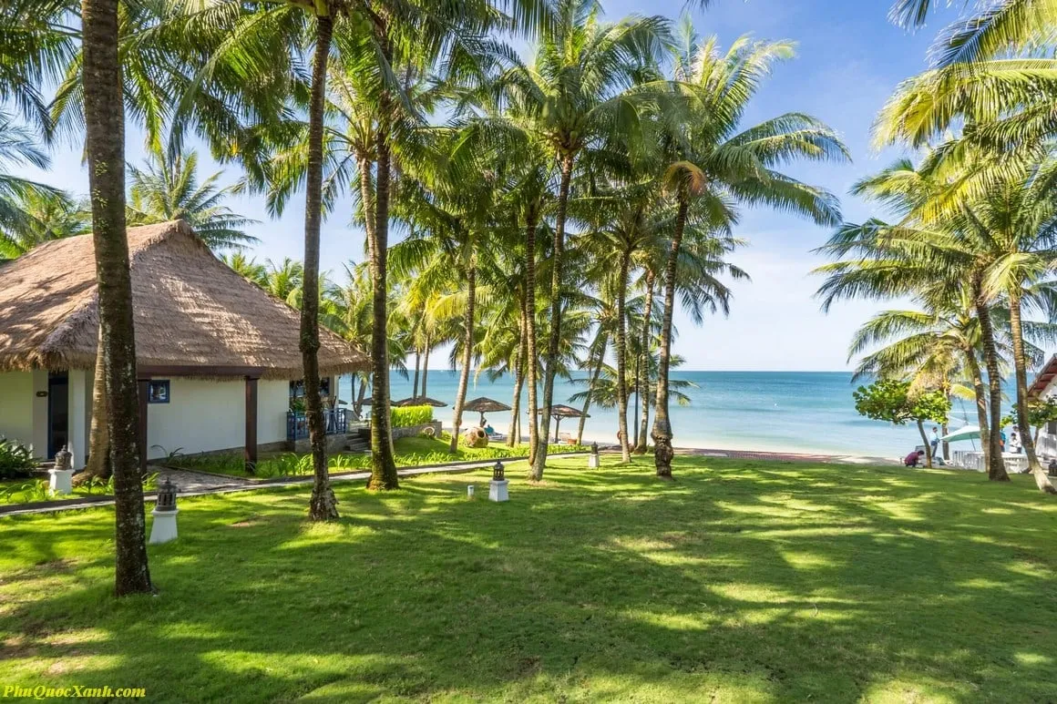 Top 5 lưu ý khi đặt phòng khách sạn Phú Quốc để không bị Top 5 lưu ý khi đặt phòng khách sạn Phú Quốc để không bị